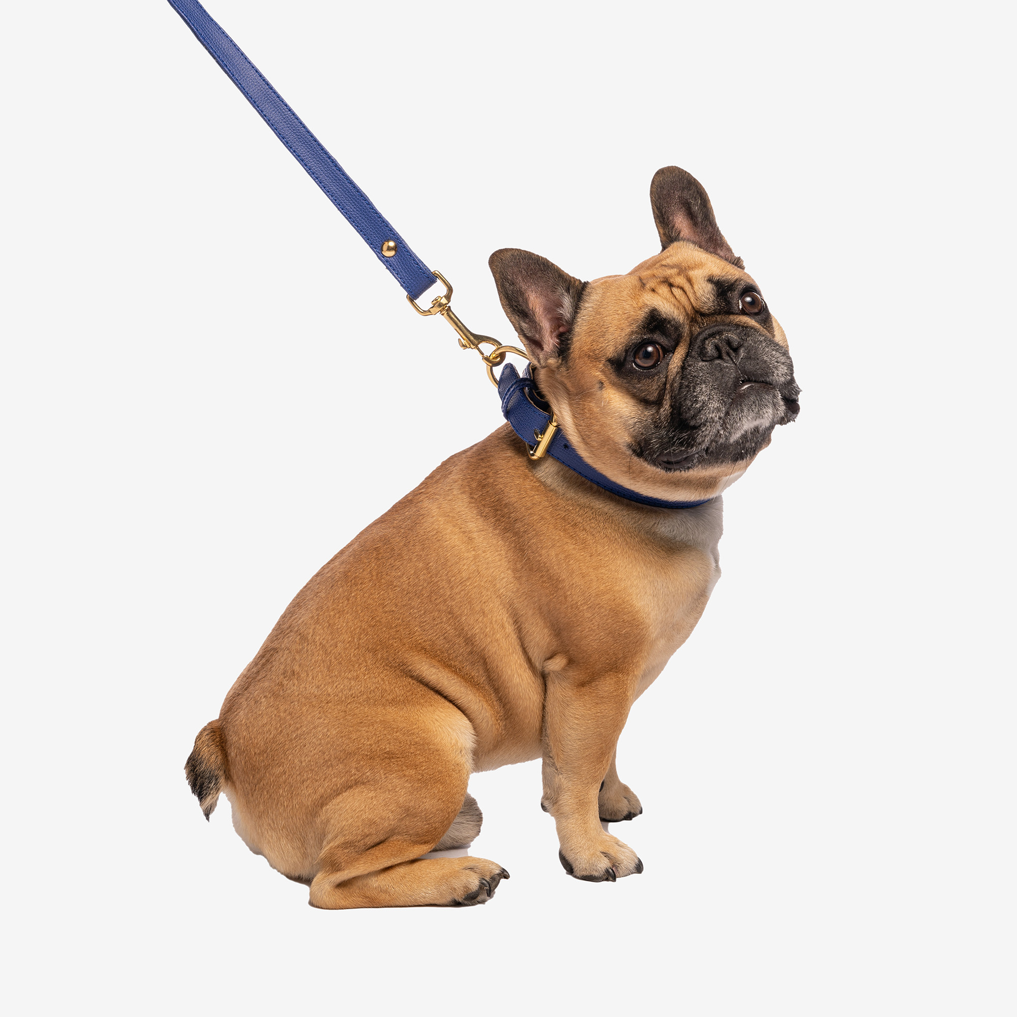 Obojok Bohemian  "KLEIN"