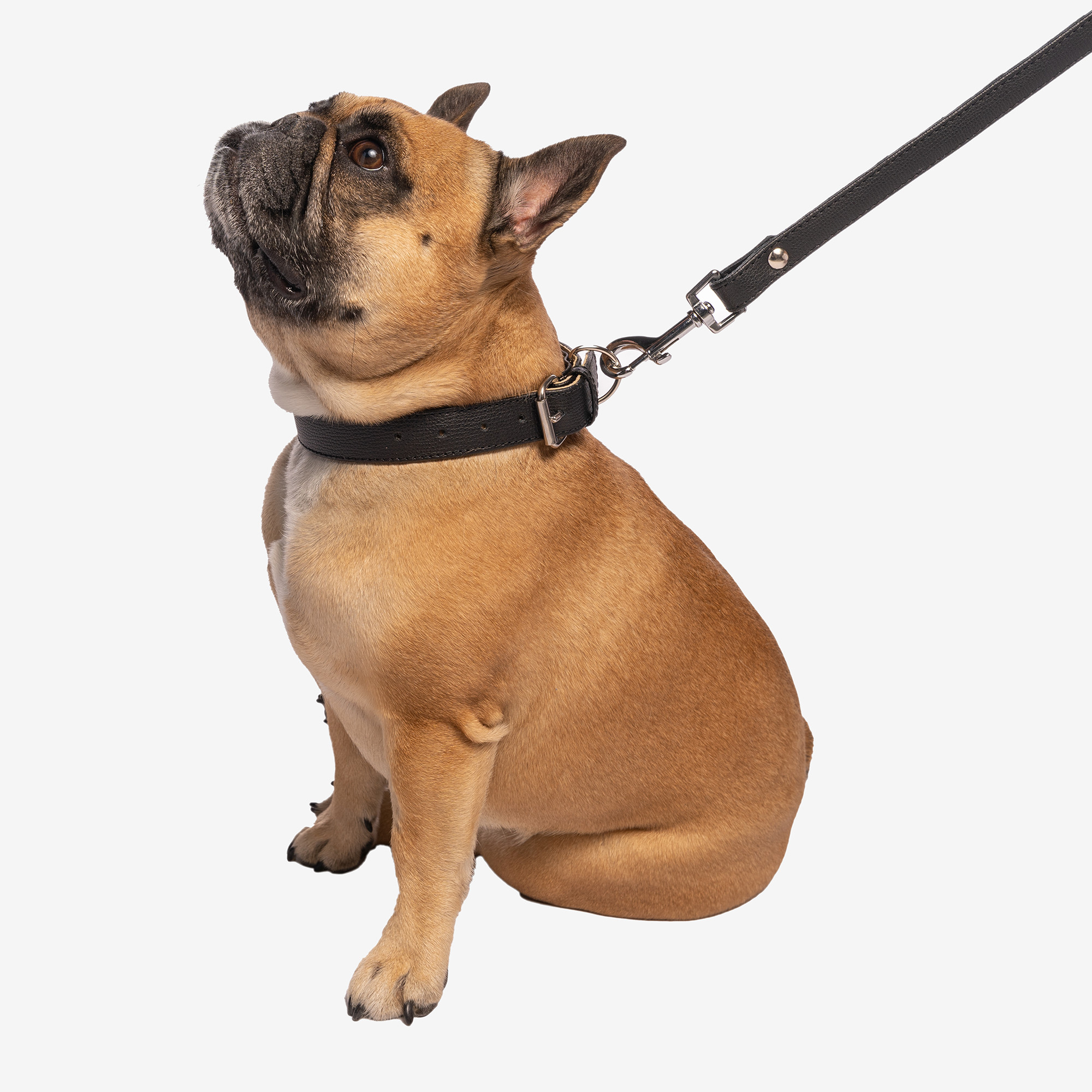 Obojok Bohemian "NERO"