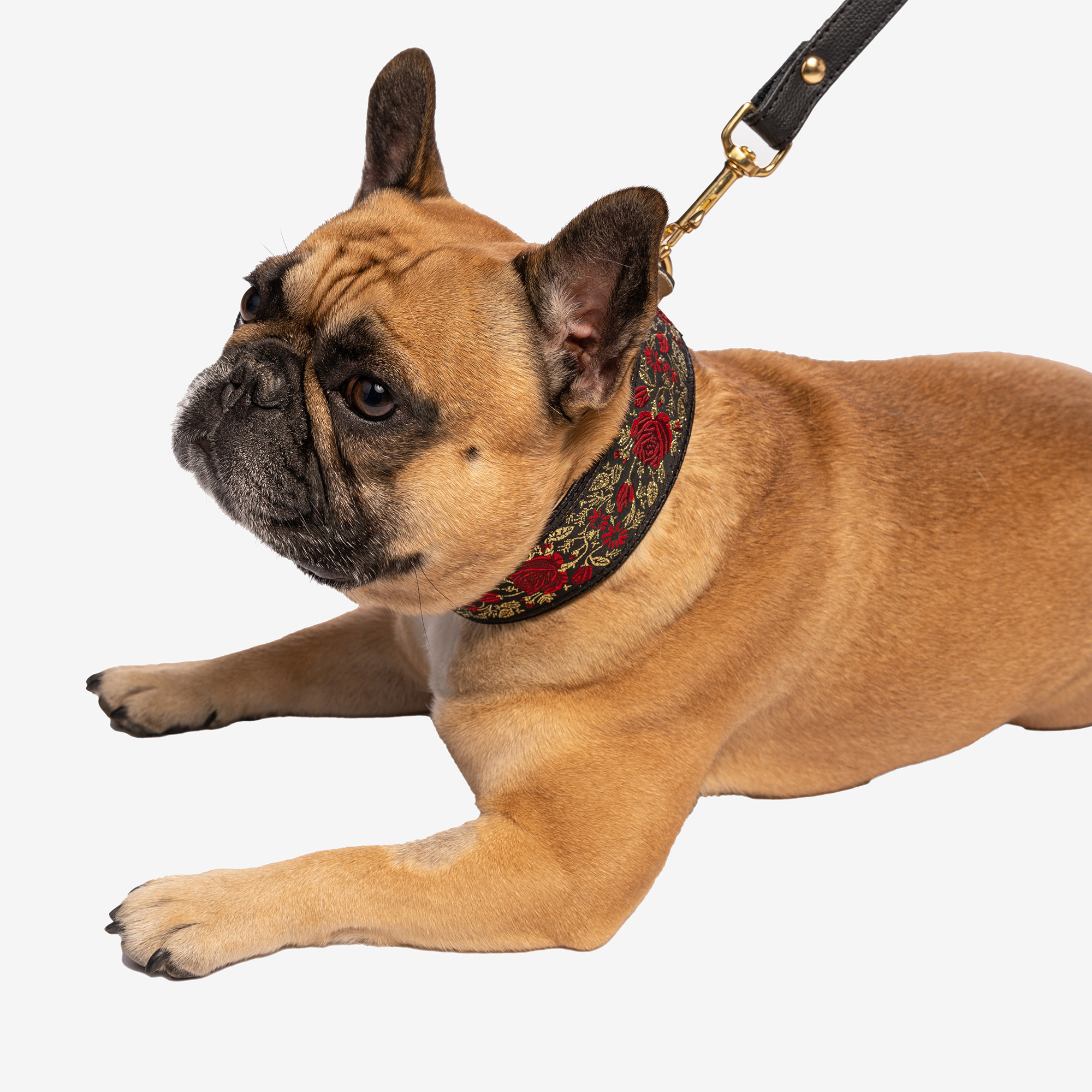 Obojok II Bohemian "NERO" Strieborná