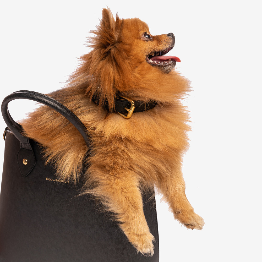 Obojok Bohemian "NERO"