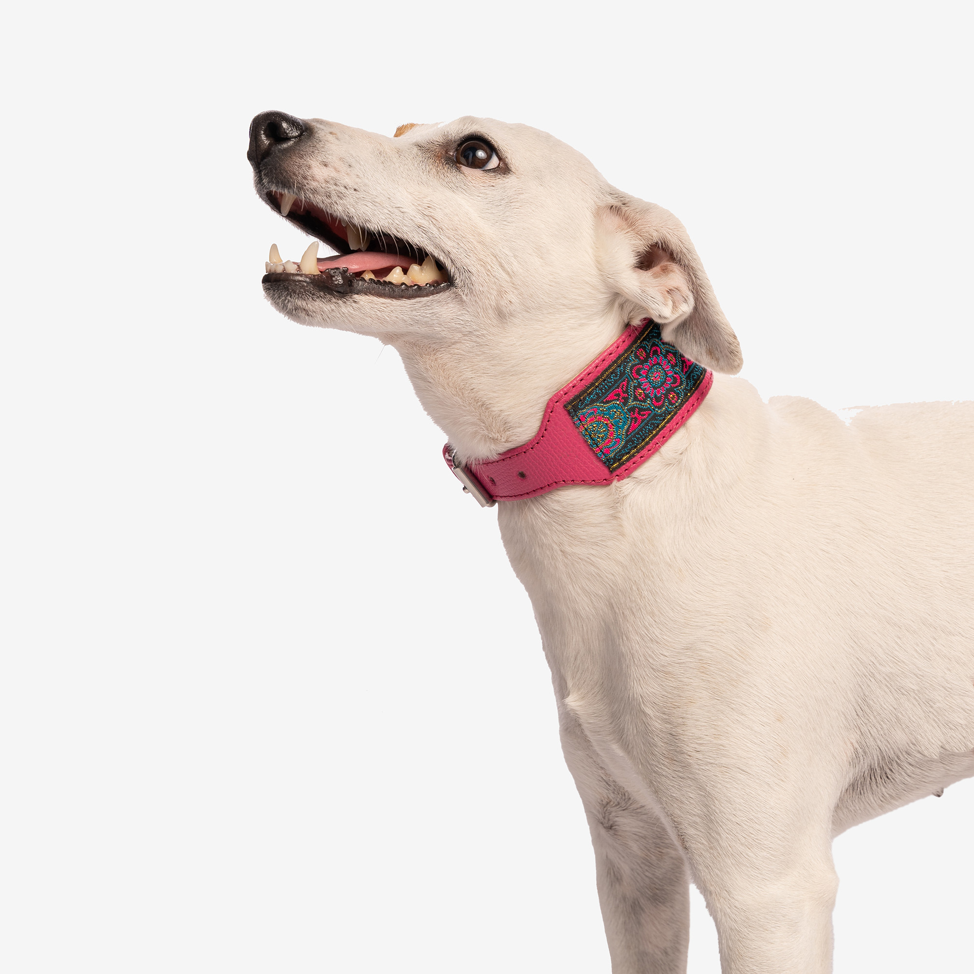 Obojok II Bohemian "FUCHSIA" Zlatá