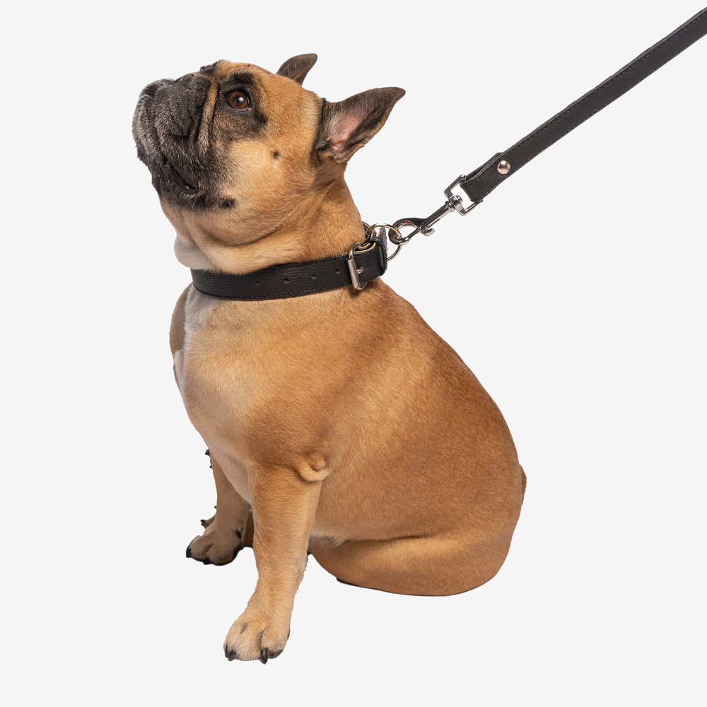 Obojok Bohemian "NERO" Zlatá