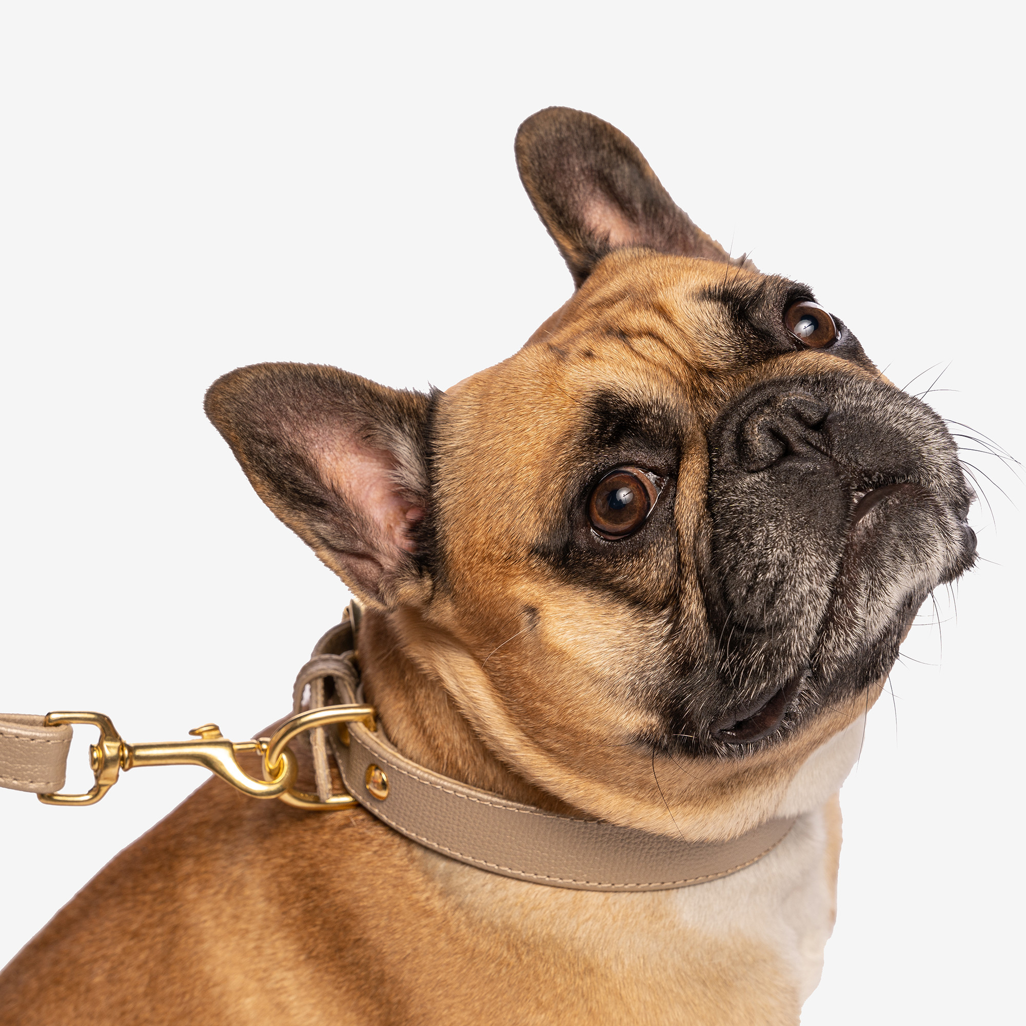 Collar Bohemian "SAND" Gold