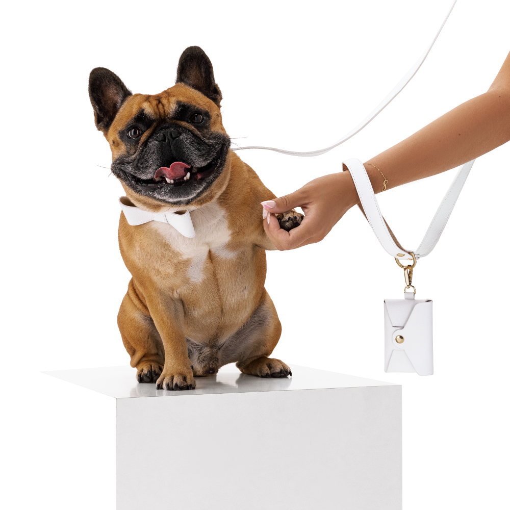 Collar OhMyDog "BIANCO"