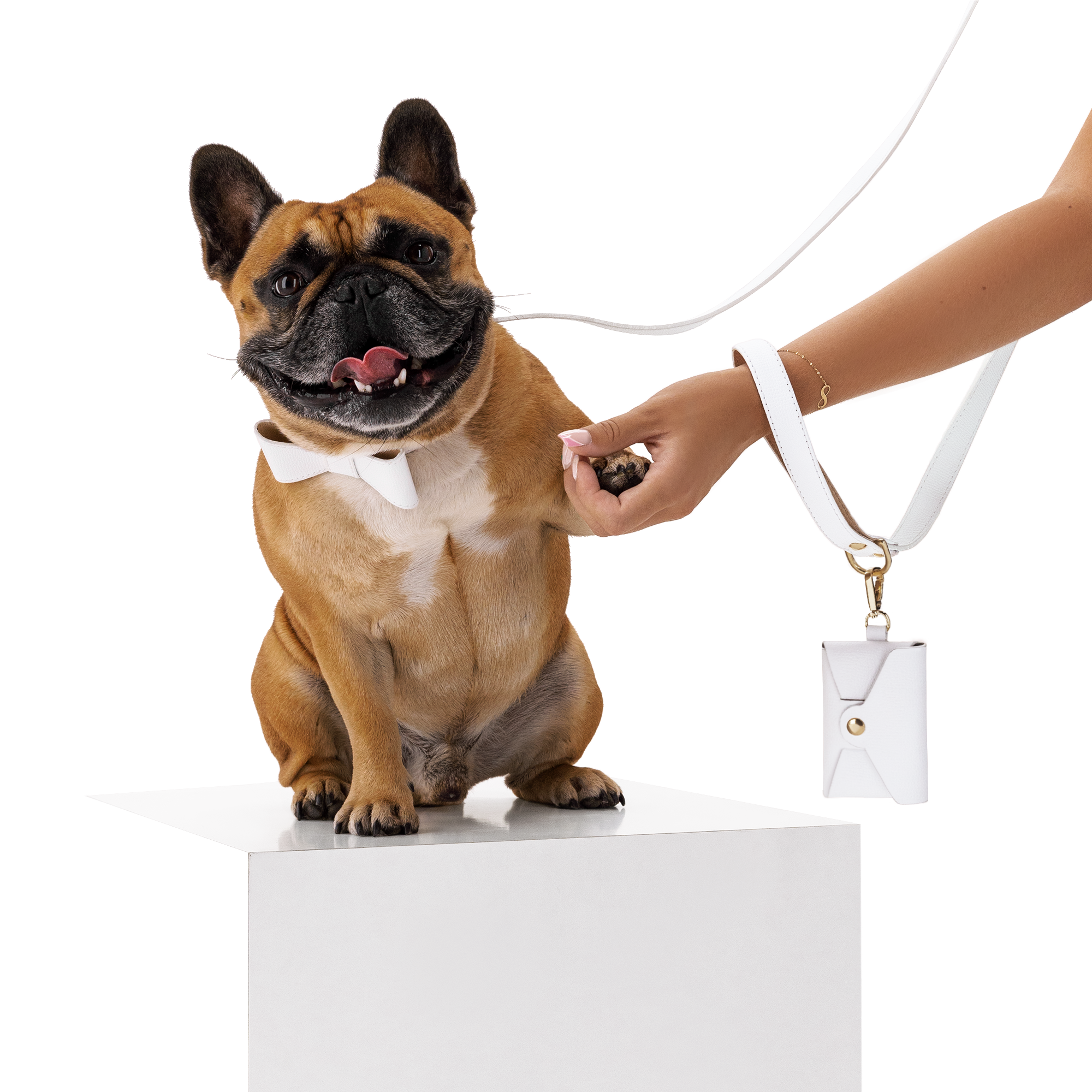 Obojok OhMyDog "BIANCO"