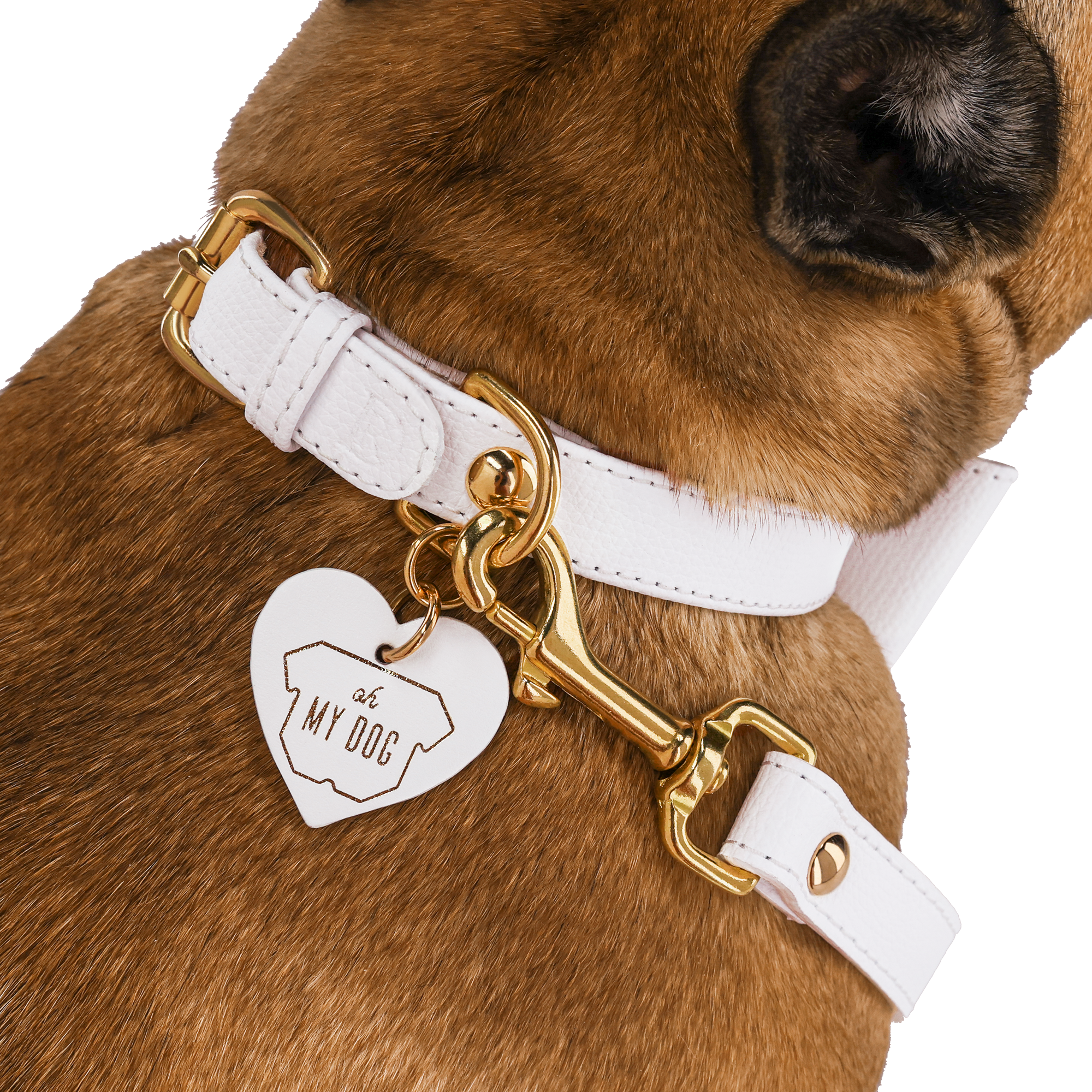 Collar OhMyDog "BIANCO"