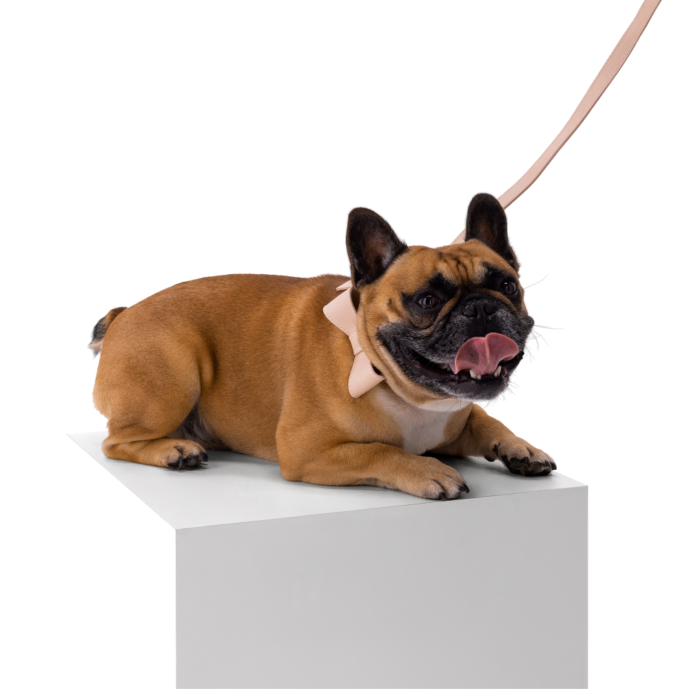 Collar OhMyDog "NUDE"