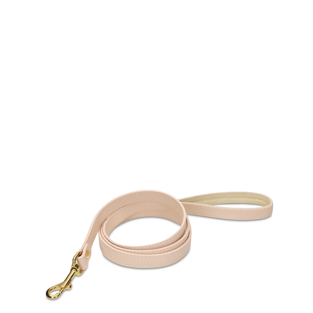 Correa OhMyDog "NUDE" + Bolsa  
