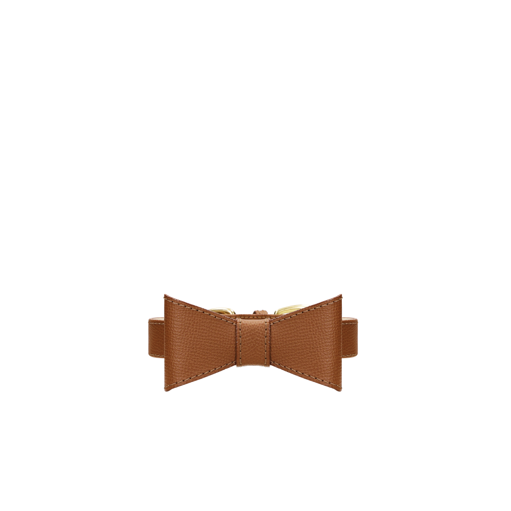 Collar OhMyDog "LION"