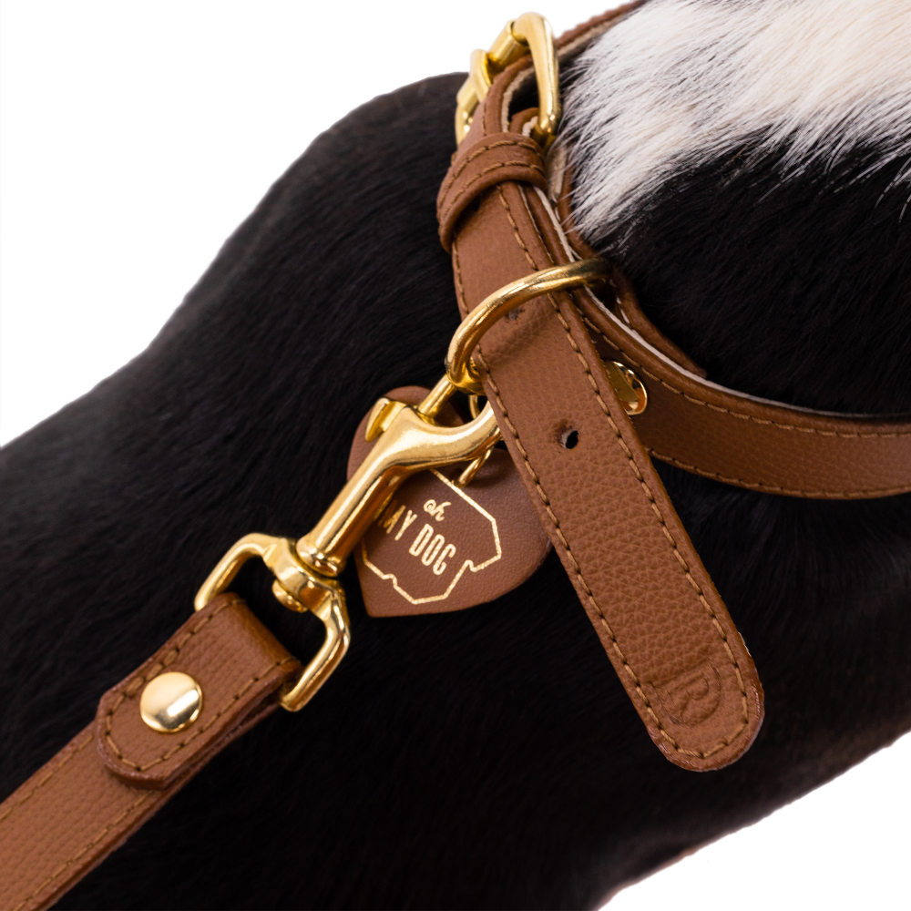 Collar OhMyDog "LION"