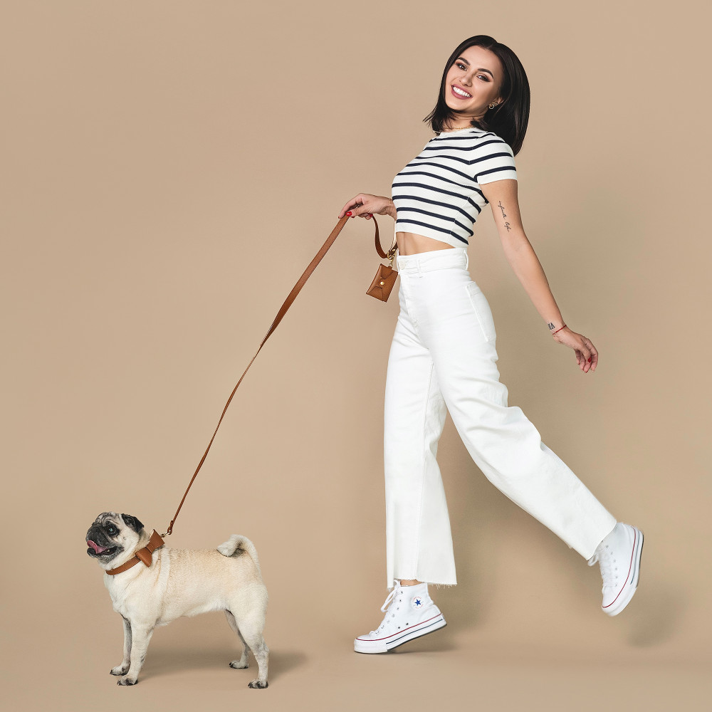 Leash OhMyDog "LION" + Pouch