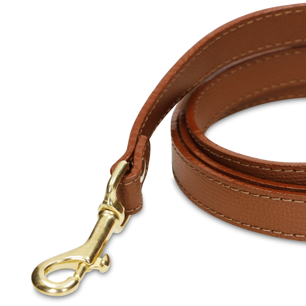 Correa OhMyDog "LION" + Bolsa