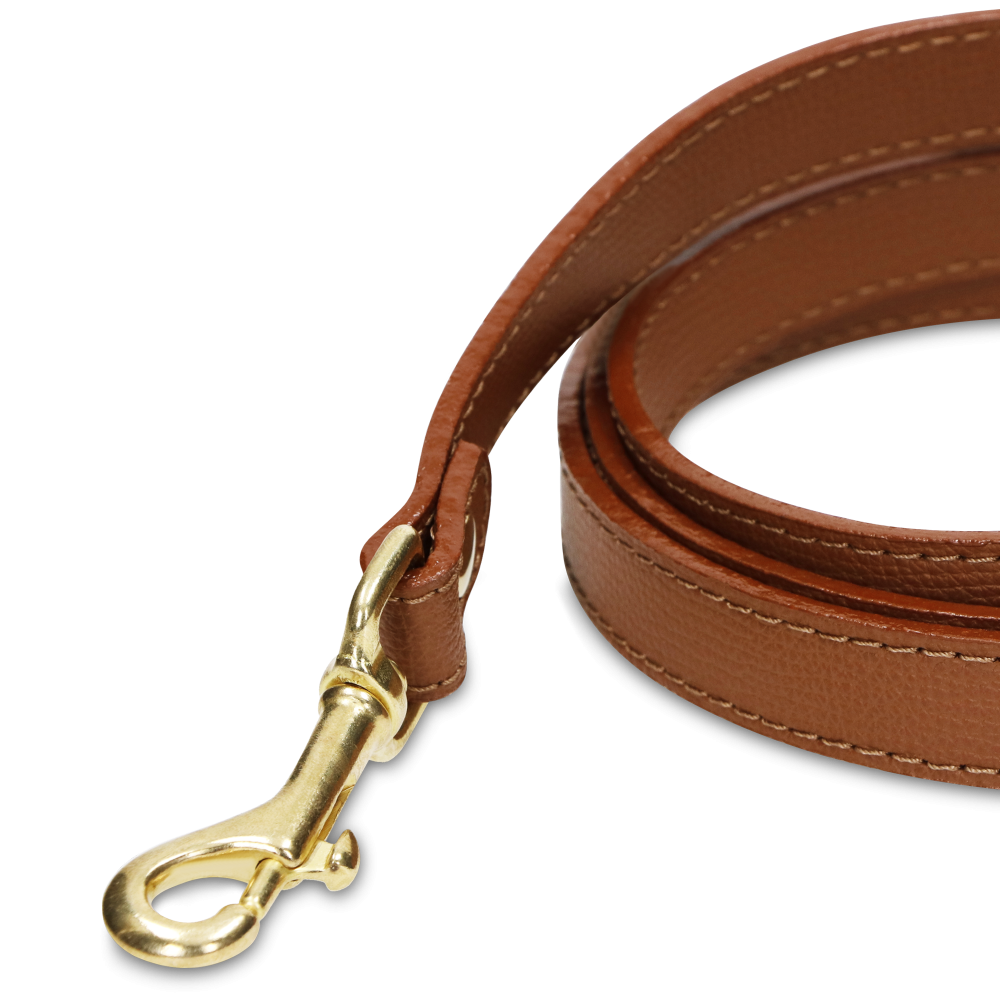 Leash OhMyDog "LION" + Pouch