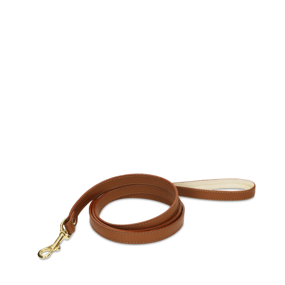 Leash OhMyDog "LION" + Pouch