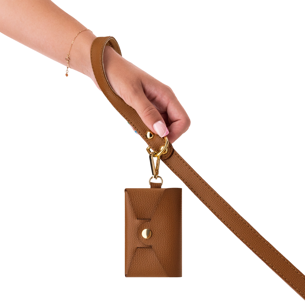 Correa OhMyDog "LION" + Bolsa