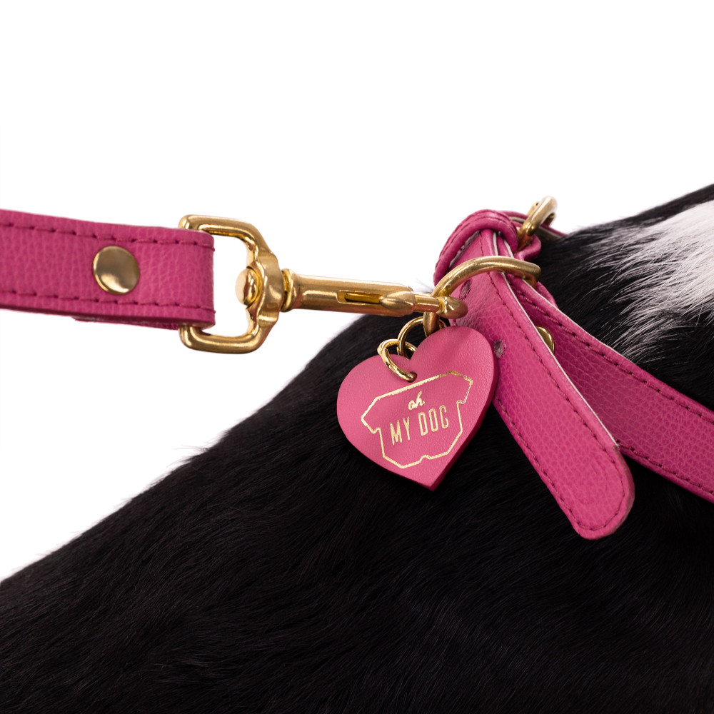 Obojok OhMyDog "FUCHSIA"