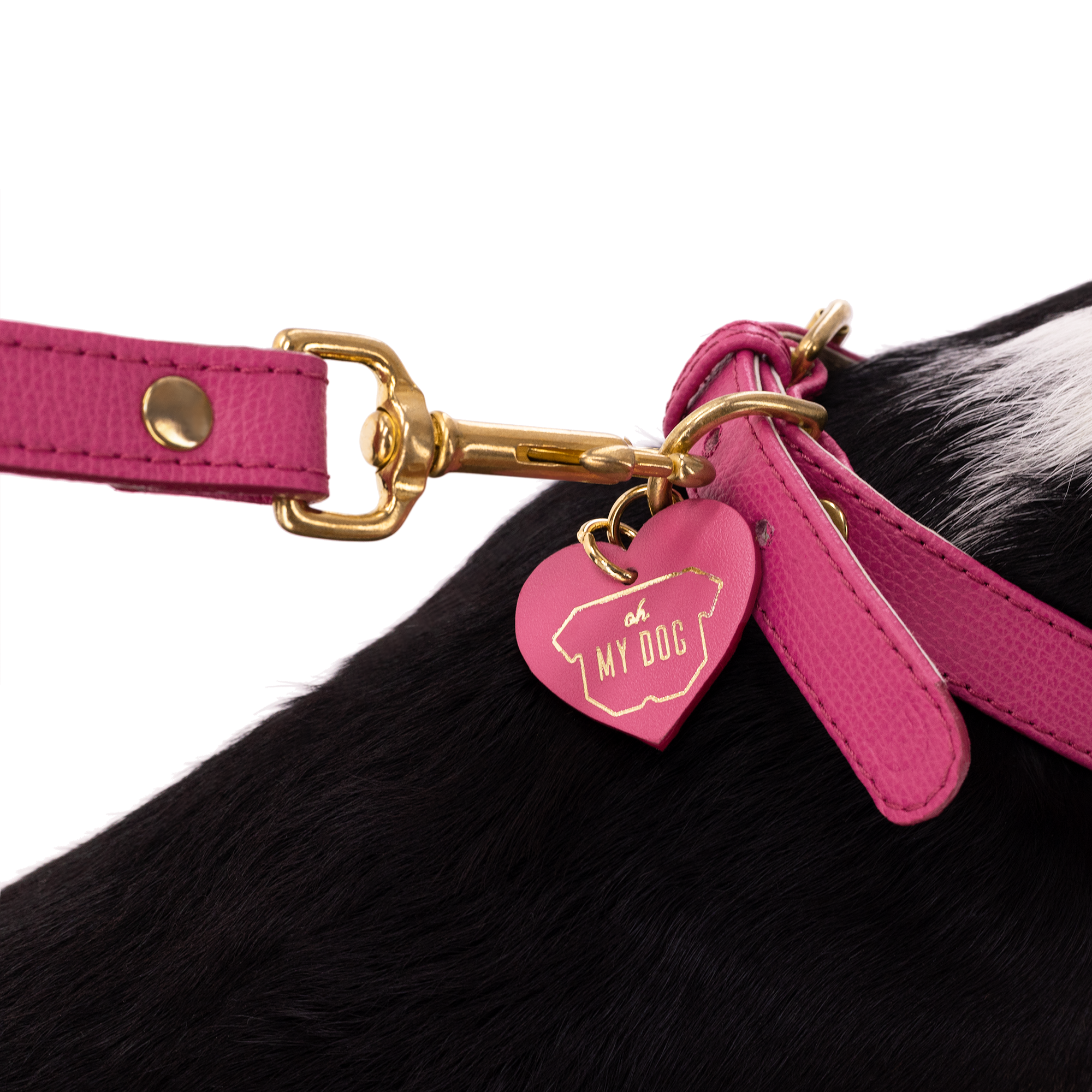 Obojok OhMyDog "FUCHSIA"