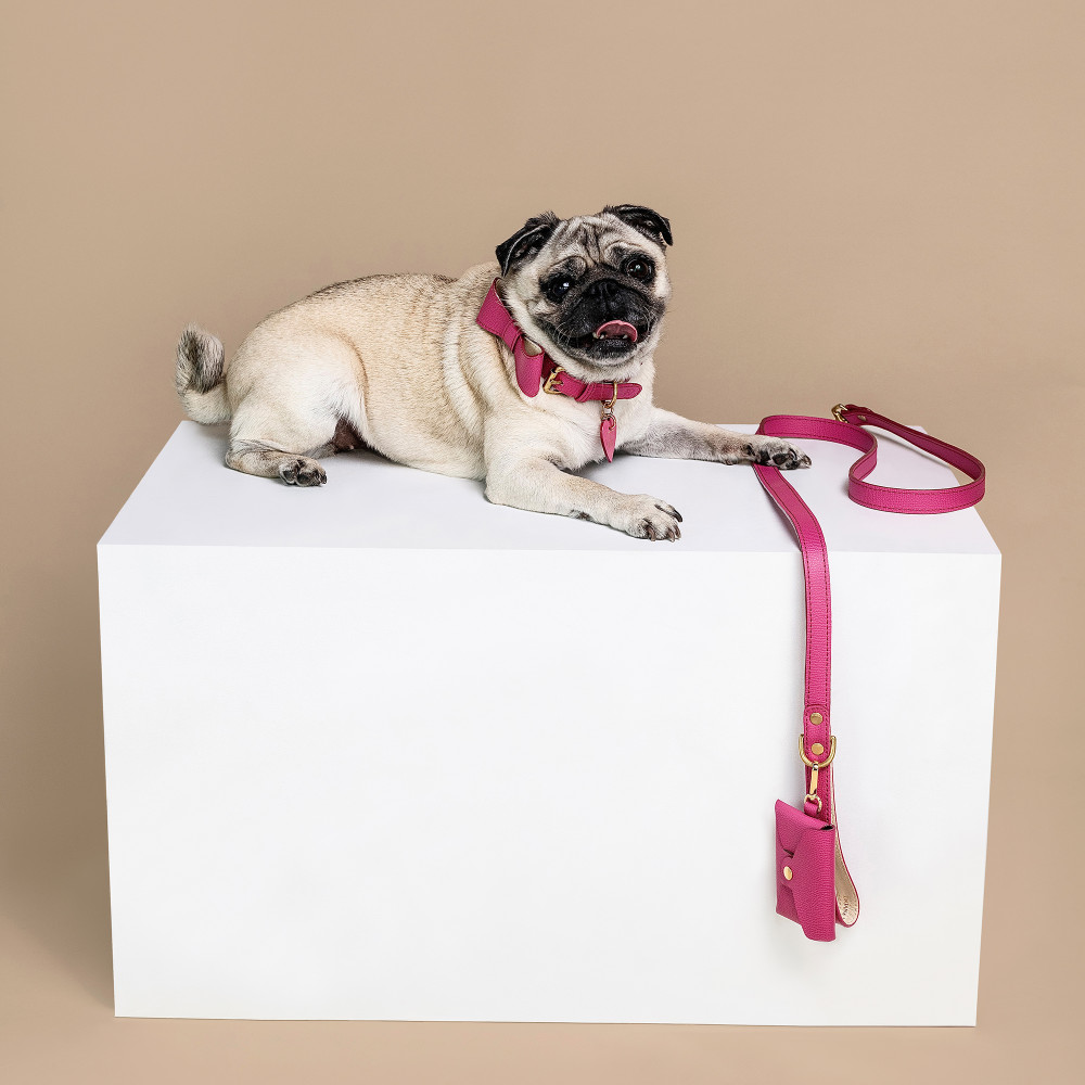 Vodítko OhMyDog "FUCHSIA" + Kapsička