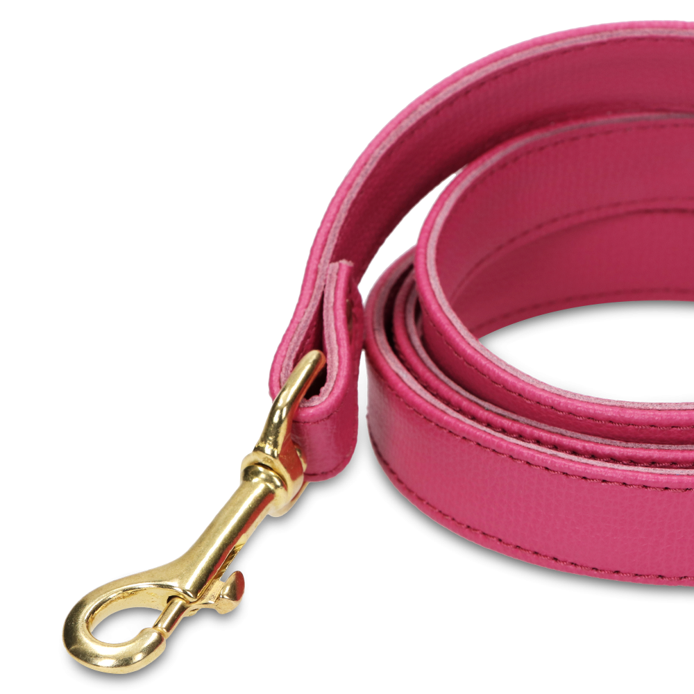 Leash OhMyDog "FUCHSIA" + Pouch