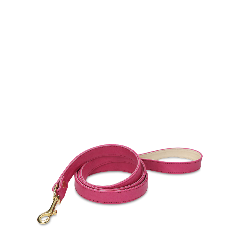 Leash OhMyDog "FUCHSIA" + Pouch