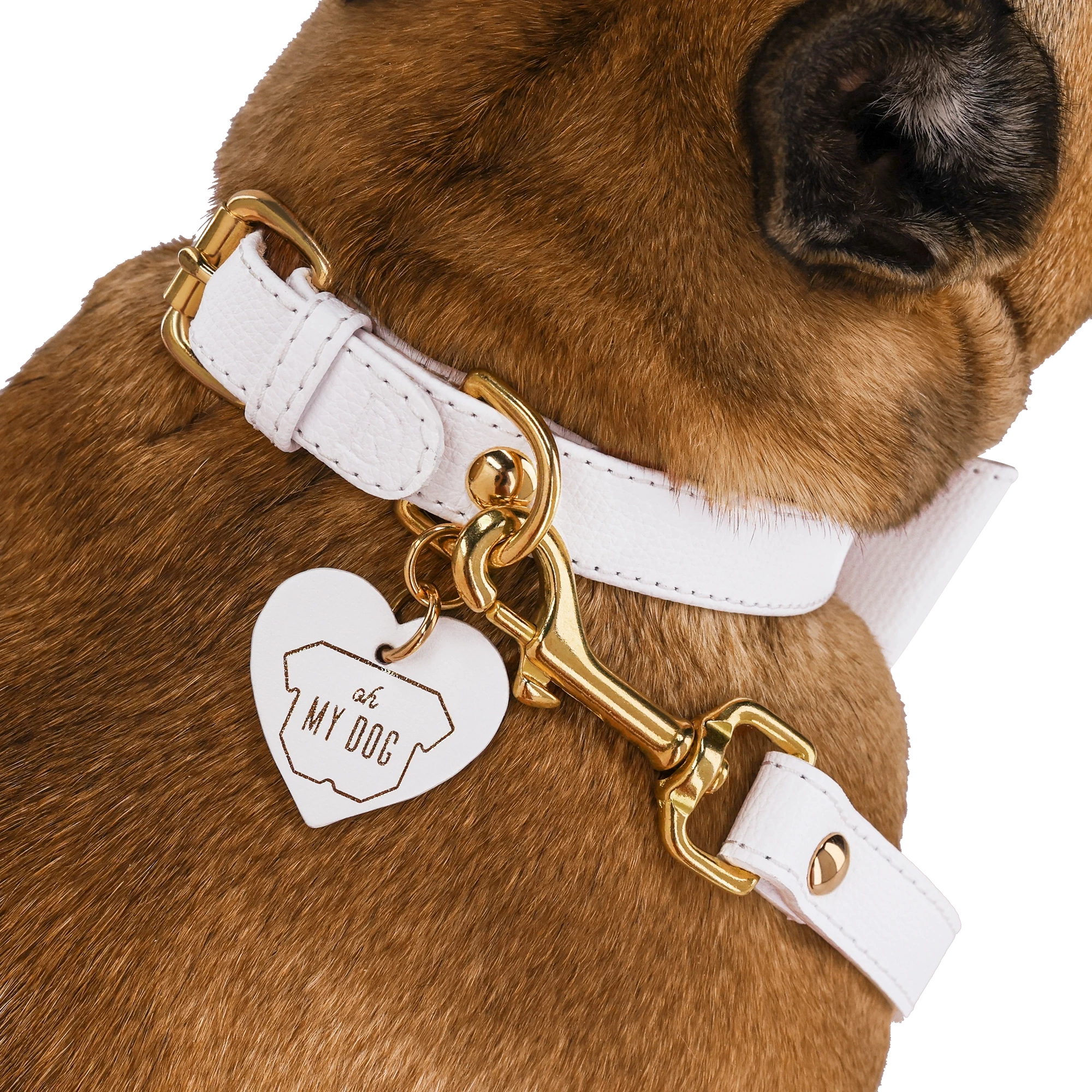 Set OhMyDog "BIANCO"