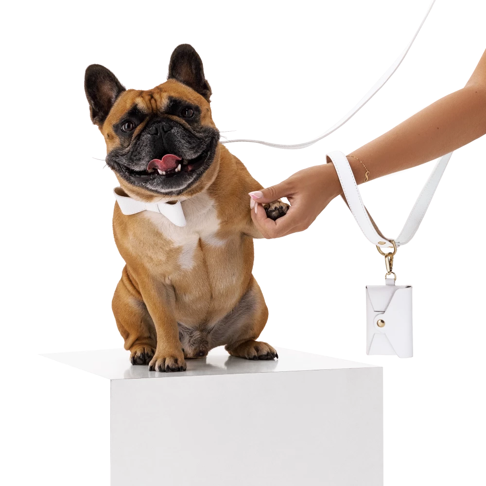Set OhMyDog "BIANCO"