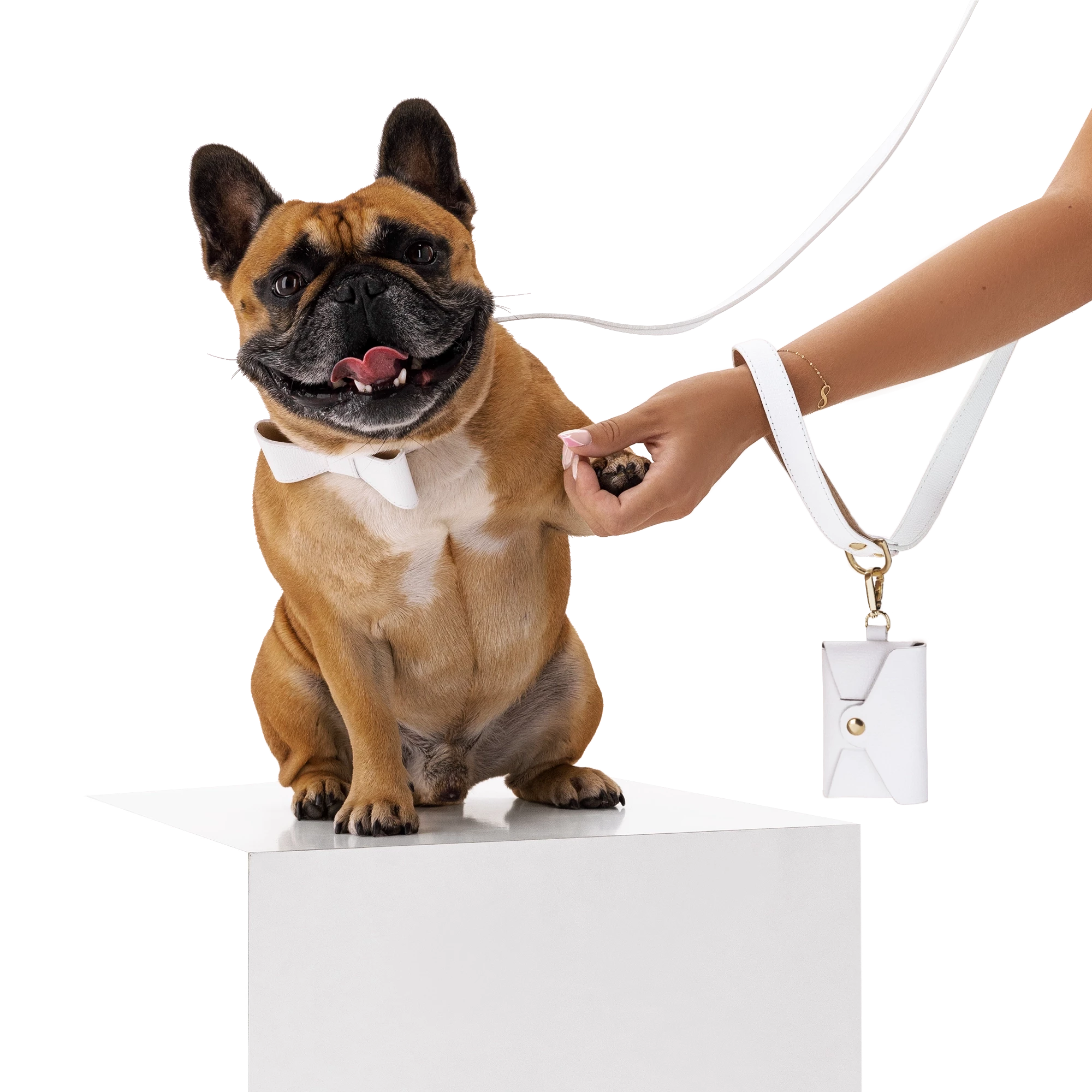 Set OhMyDog "BIANCO"