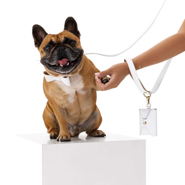 Set OhMyDog "BIANCO"