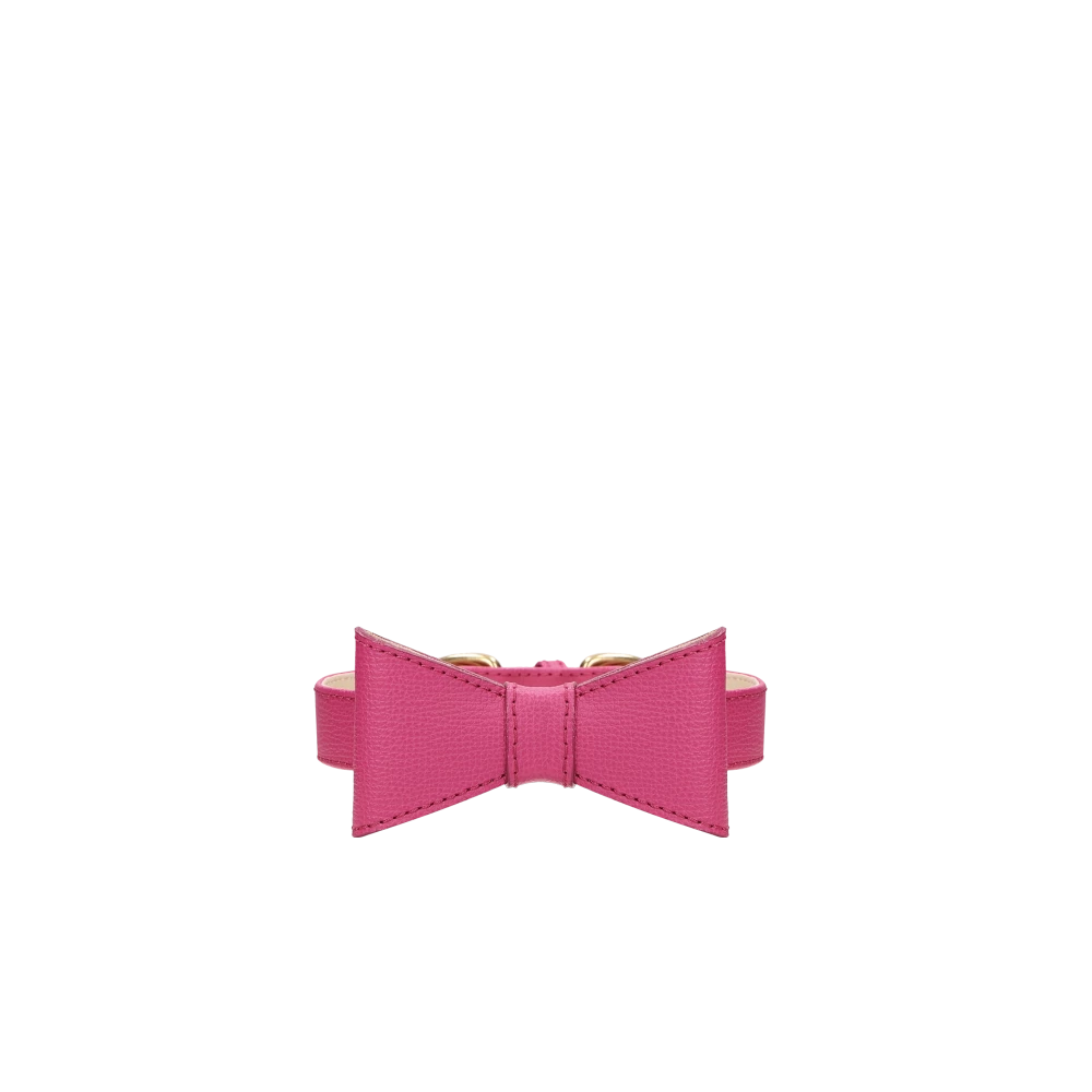 Set OhMyDog "FUCHSIA"