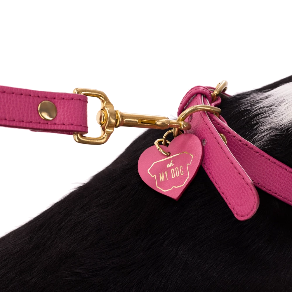 Set OhMyDog "FUCHSIA"