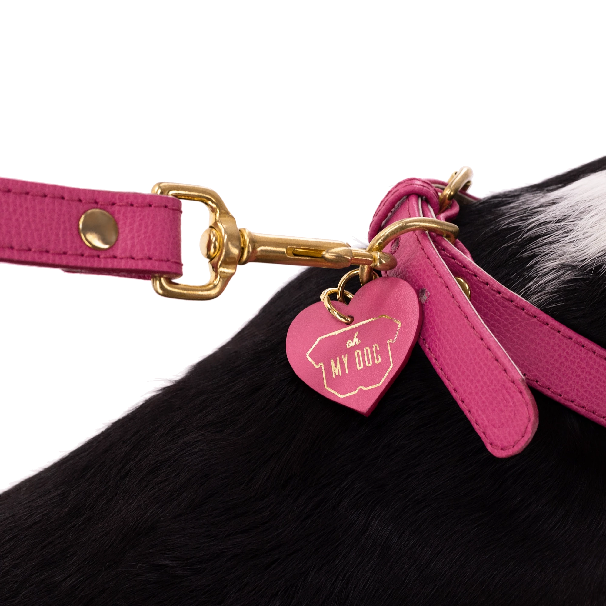 Set OhMyDog "FUCHSIA"