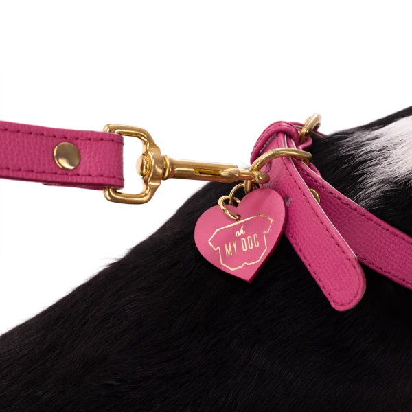 Set OhMyDog "FUCHSIA"