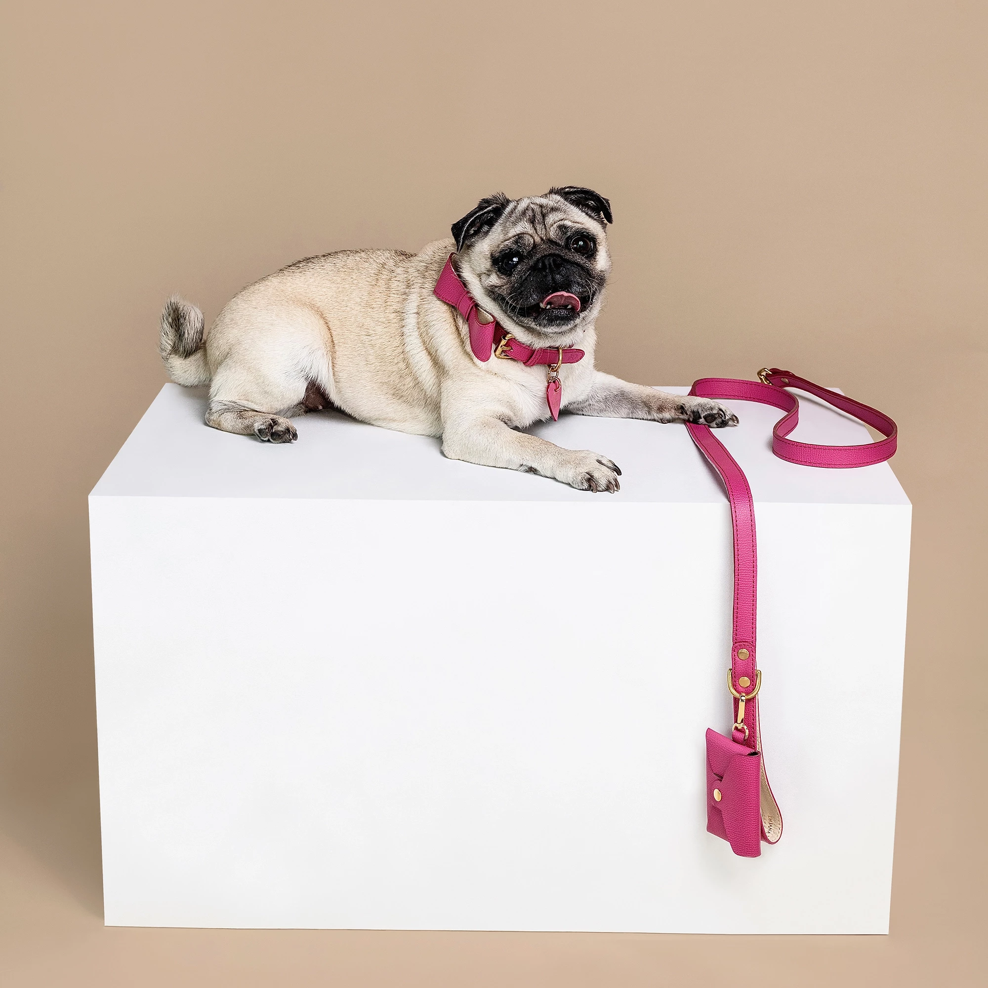 Set OhMyDog "FUCHSIA"