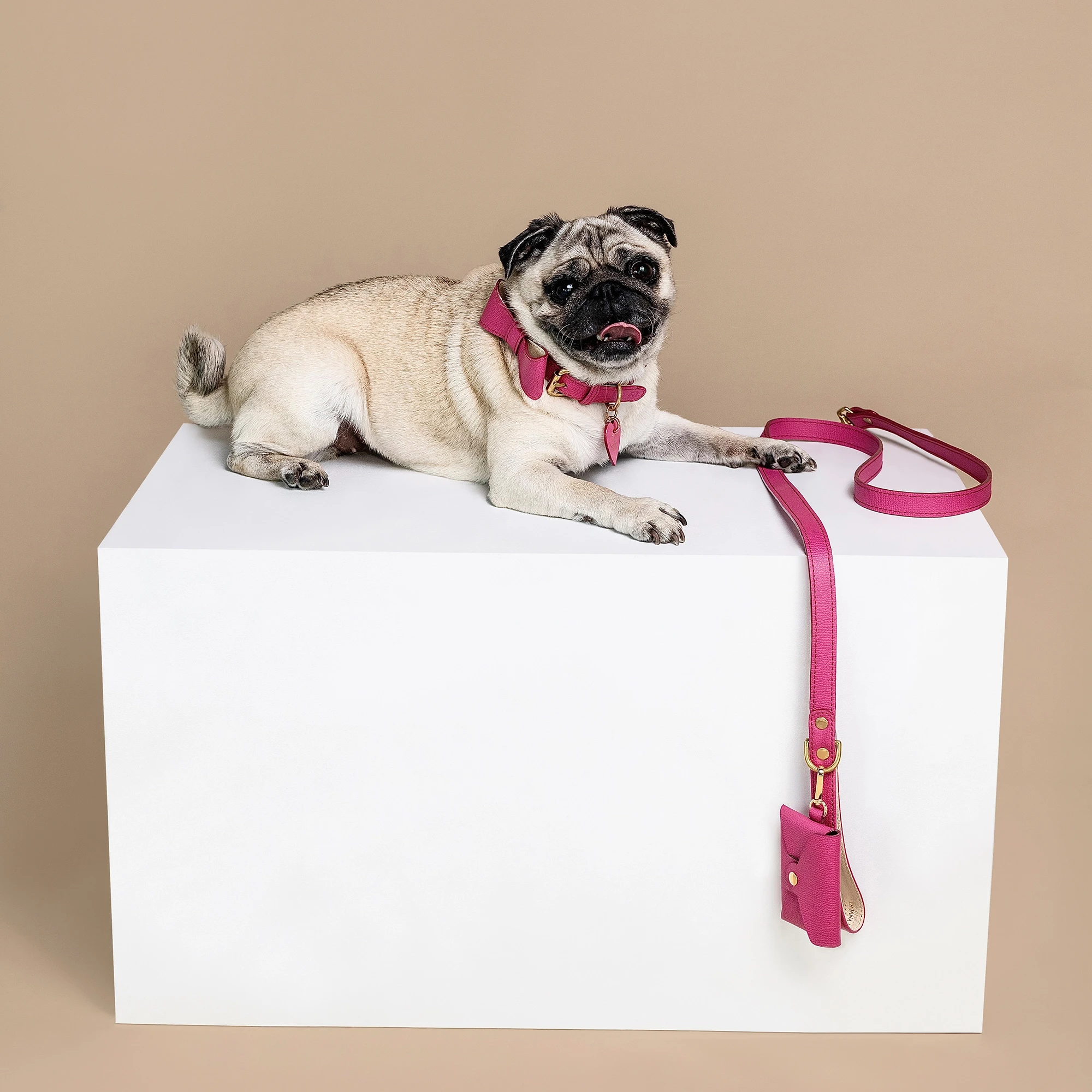 Set OhMyDog "FUCHSIA"