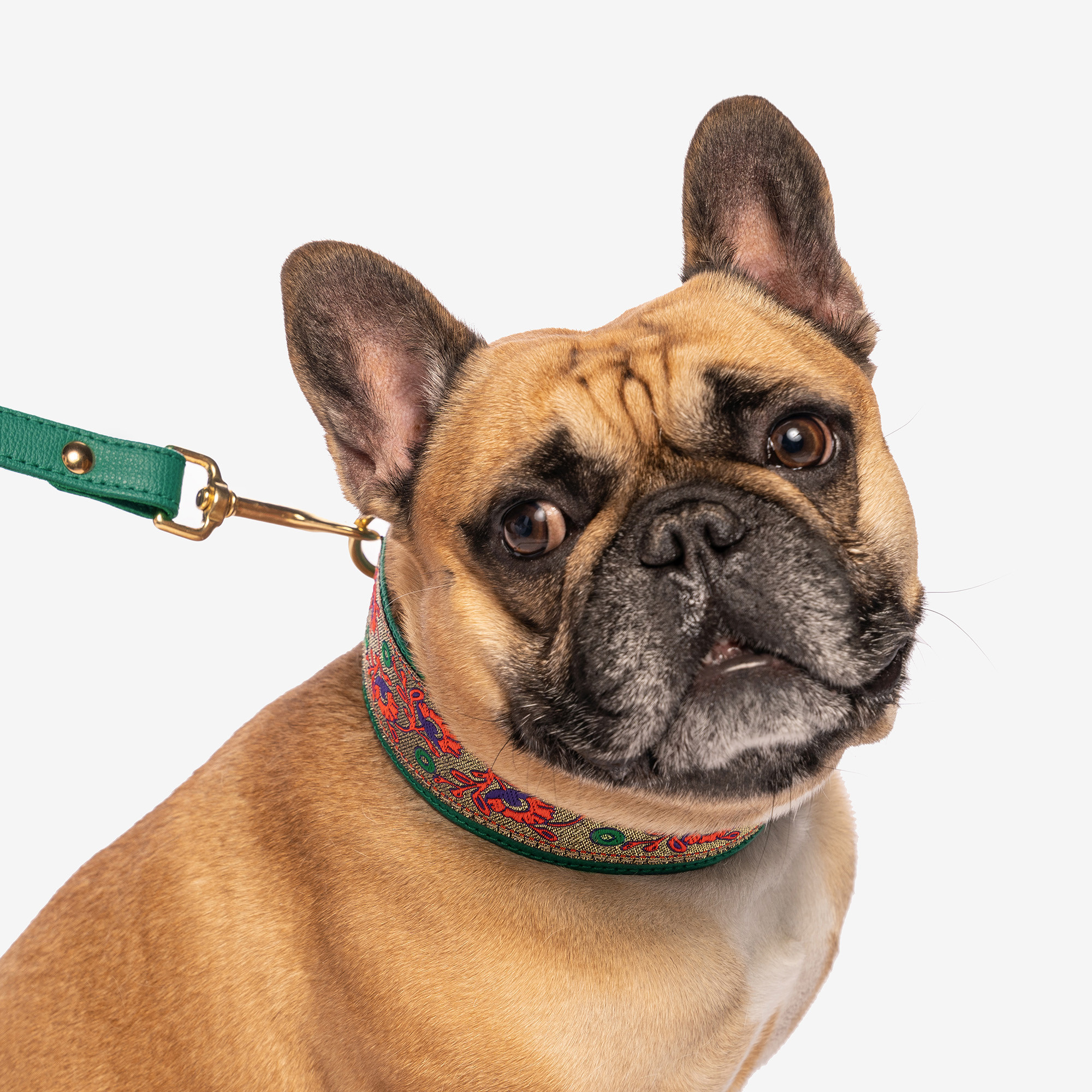 Obojok II Bohemian "AVOKADO" Zlatá