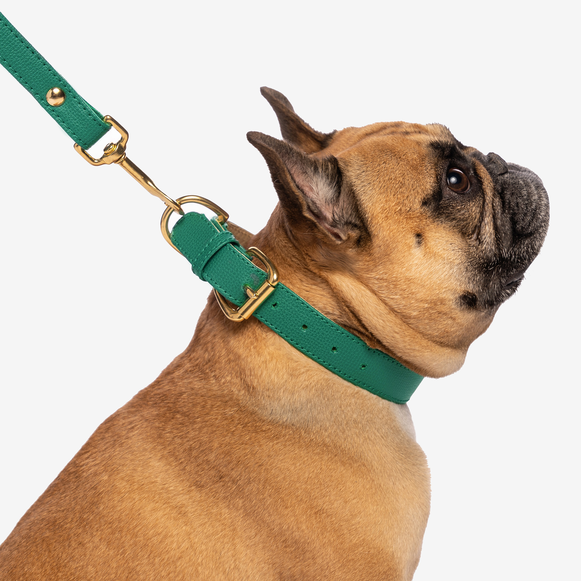 COLLAR BOHEMIAN "AVOCADO"