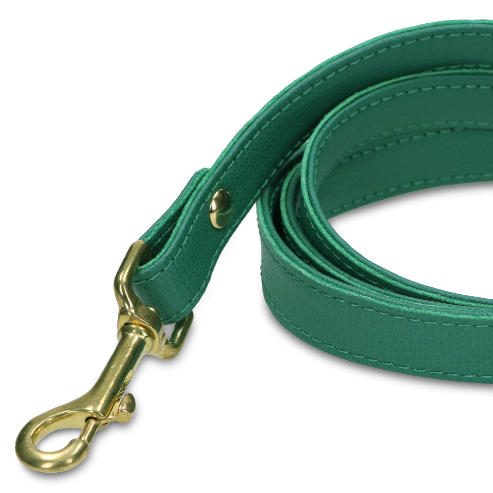 Vodítko OhMyDog "AVOKADO" + Kapsička