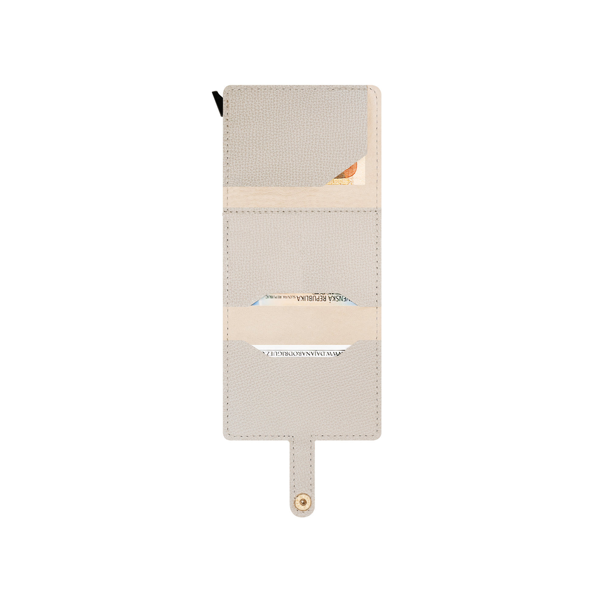 Cardholder DR X Monika Bagarova