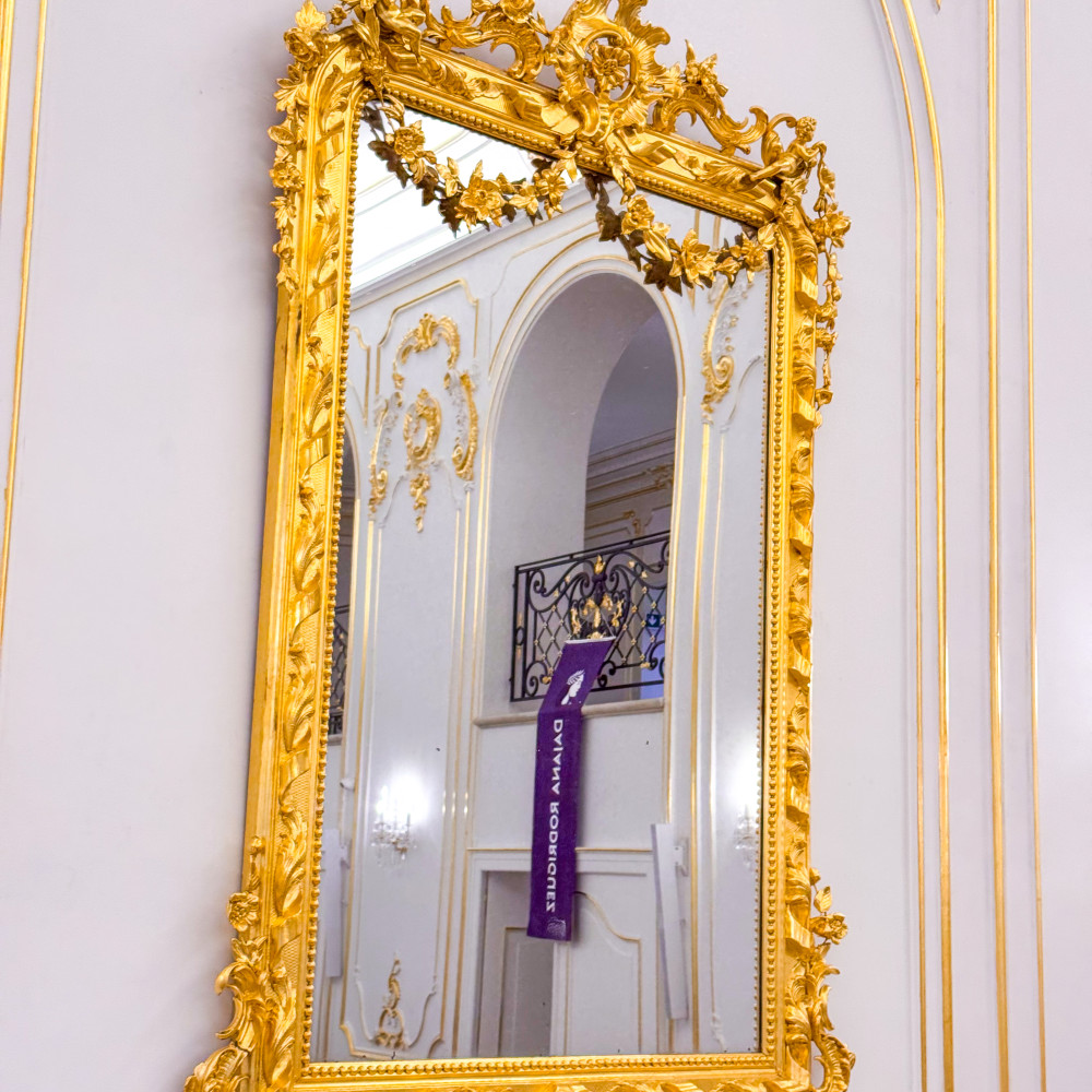 Klasická vstupenka na Ples Dajana Rodriguez