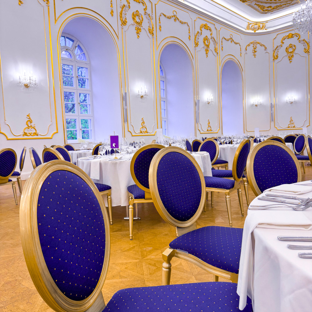 Klasická vstupenka na Ples Dajana Rodriguez