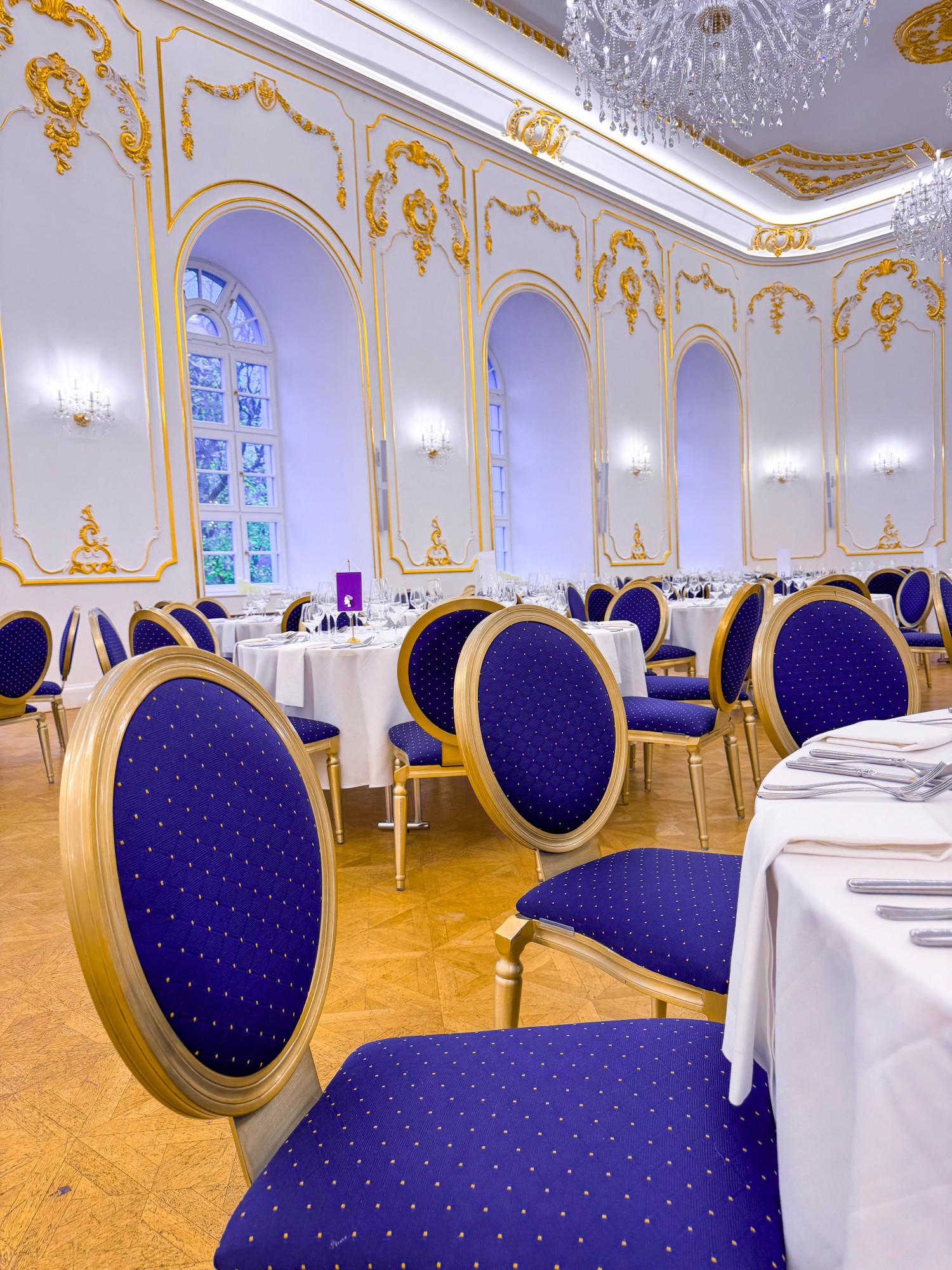 VIP vstupenka na Ples Dajana Rodriguez